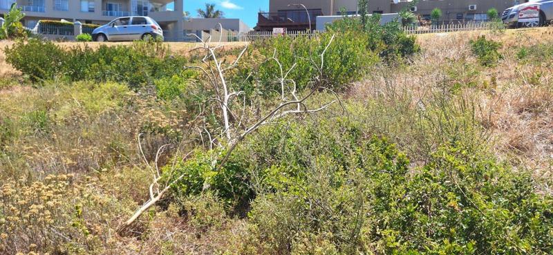 0 Bedroom Property for Sale in Hartenbos Heuwels Western Cape